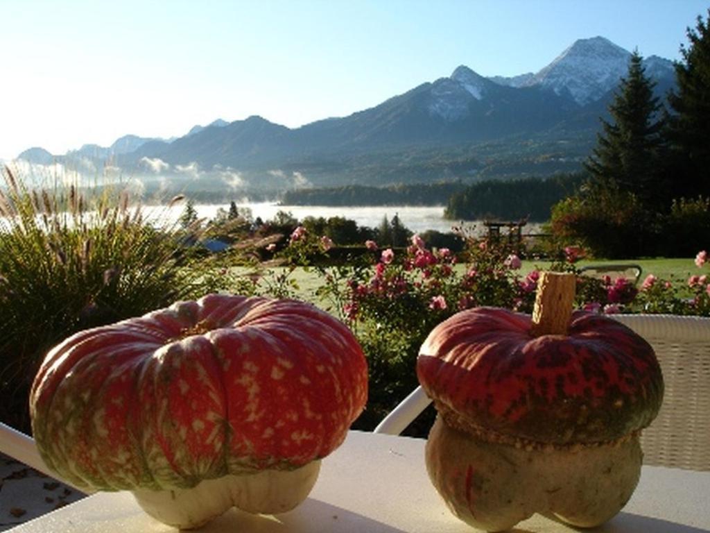 Hotel Schoenruh Drobollach am Faakersee Zewnętrze zdjęcie